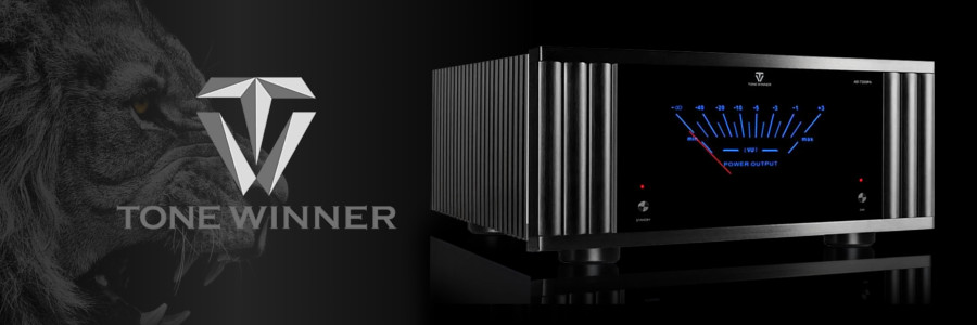 Tonewinner - Receivers & Amplifiers With Grunt